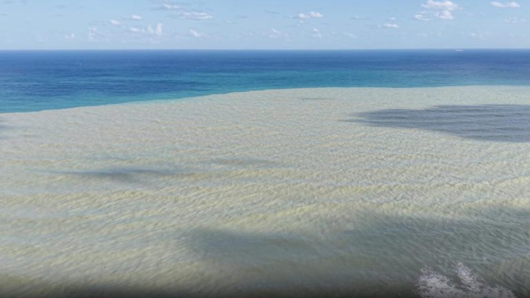 Derelerin taşıdığı çamurlu su Sinop'ta denizin rengini değiştirdi